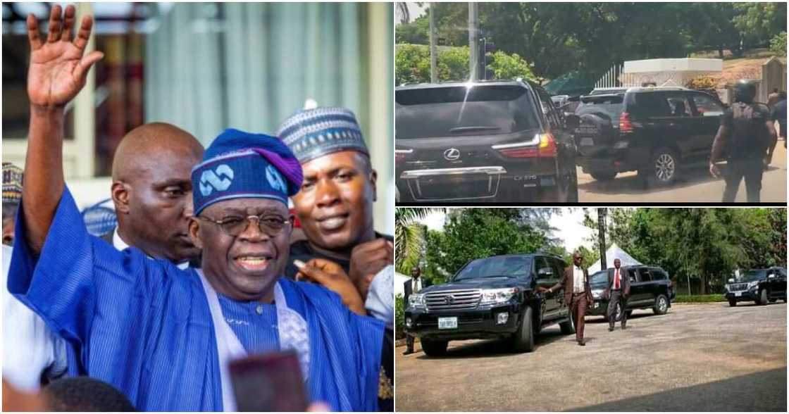 Bola Tinubu, Kashim Shettima, APC, 2023 elections