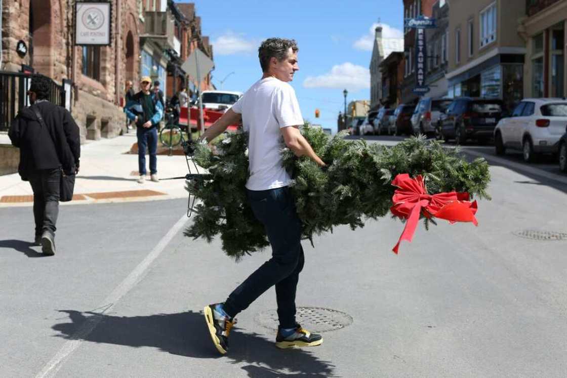 A set decorator carries a Christmas tree during filming of 'Hocus Pocus Christmas' on April 16 in Almonte, Ontario, just outside Ottawa A set decorator carries a Christmas tree during filming of 'Hocus Pocus Christmas' on April 16 in Almonte, Ontario, just outside Ottawa