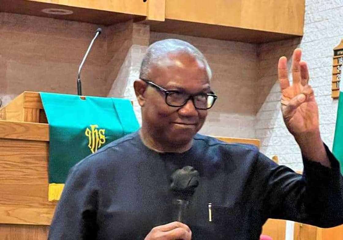 Peter Obi, Labour Party, 2023 presidential election, Olusegun Obasanjo, Edwin Clark Peter Obi, Labour Party, 2023 presidential election, Olusegun Obasanjo, Edwin Clark