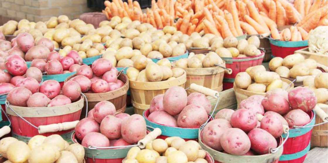 Abinda yasa ƴan Najeriya ke kwana da yunwa duk da noman abinci da ake yi, Nanono Abinda yasa ƴan Najeriya ke kwana da yunwa duk da noman abinci da ake yi, Nanono