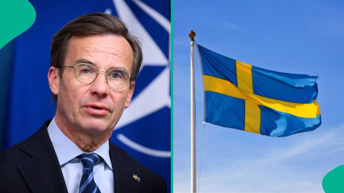 Sweden updates citizenship laws, reveals 4 key changes foreigners must know Sweden updates citizenship laws, reveals 4 key changes foreigners must know