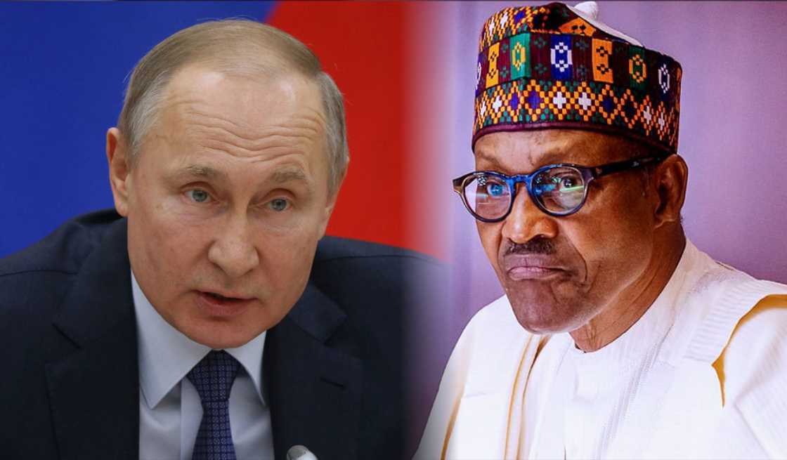 Buhari, Putin, Nigeria, Russia, Imports