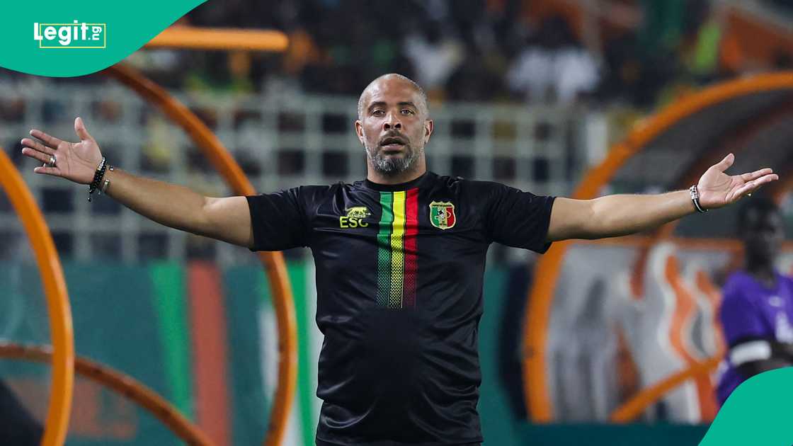 Eric Chelle has declared his intentions of reinforcing the Super Eagles team. Eric Chelle has declared his intentions of reinforcing the Super Eagles team.