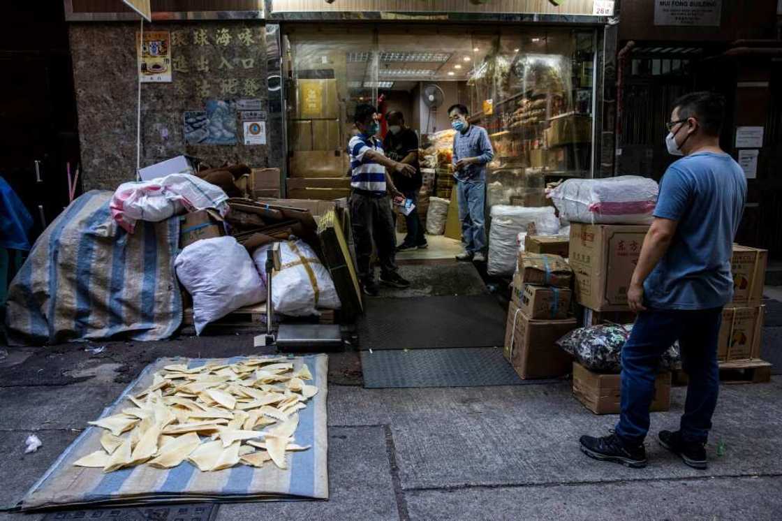 'Mostly elderly' regulars are helping keep Hong Kong's shark fins sales afloat, according to a shopkeeper who spoke to AFP