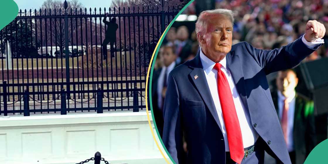 Video trends as man attempts to scale White House fence into President Donald Trump's house