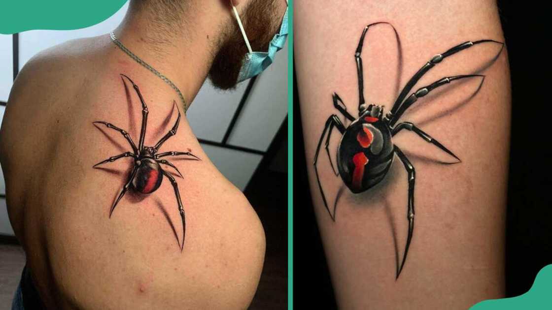 3D spider tattoos 3D spider tattoos