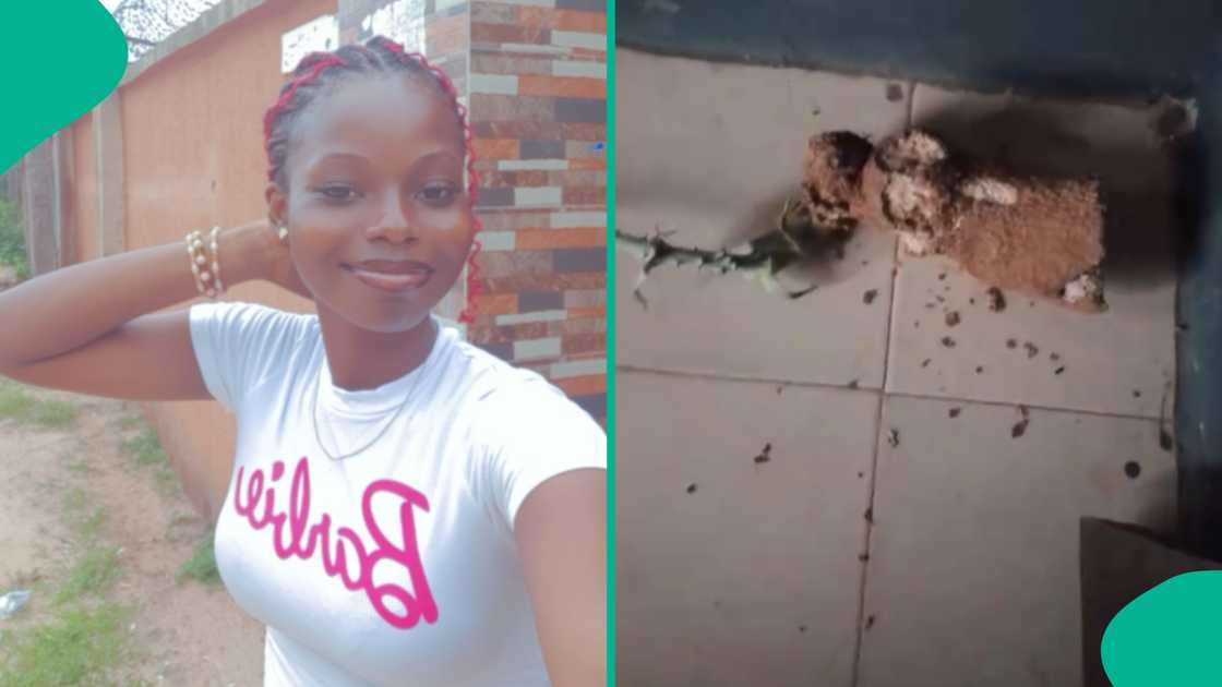 Lady shares video of her yam growing in the room. Lady shares video of her yam growing in the room.