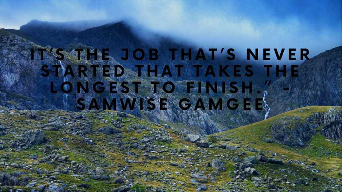 Best Lord of the Rings quotes Best Lord of the Rings quotes