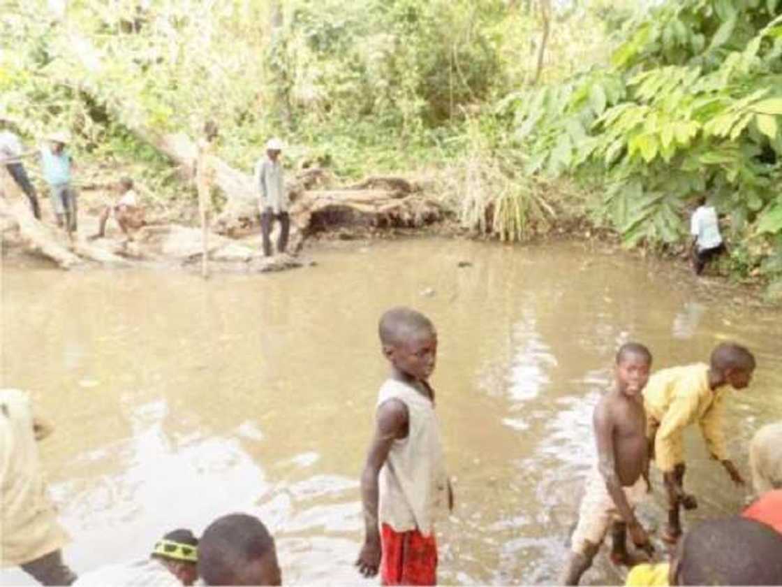 Gwakuru: Tafkin da macizai, kifaye da halittu daban-daban ke zaune lafiya a Kaduna Gwakuru: Tafkin da macizai, kifaye da halittu daban-daban ke zaune lafiya a Kaduna