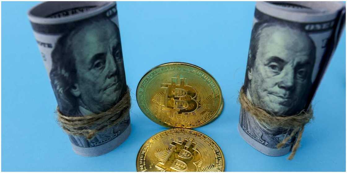 Bitcoin Future Predicted by Analysts Amid Falling Price, Million Dollar Losses Bitcoin Future Predicted by Analysts Amid Falling Price, Million Dollar Losses