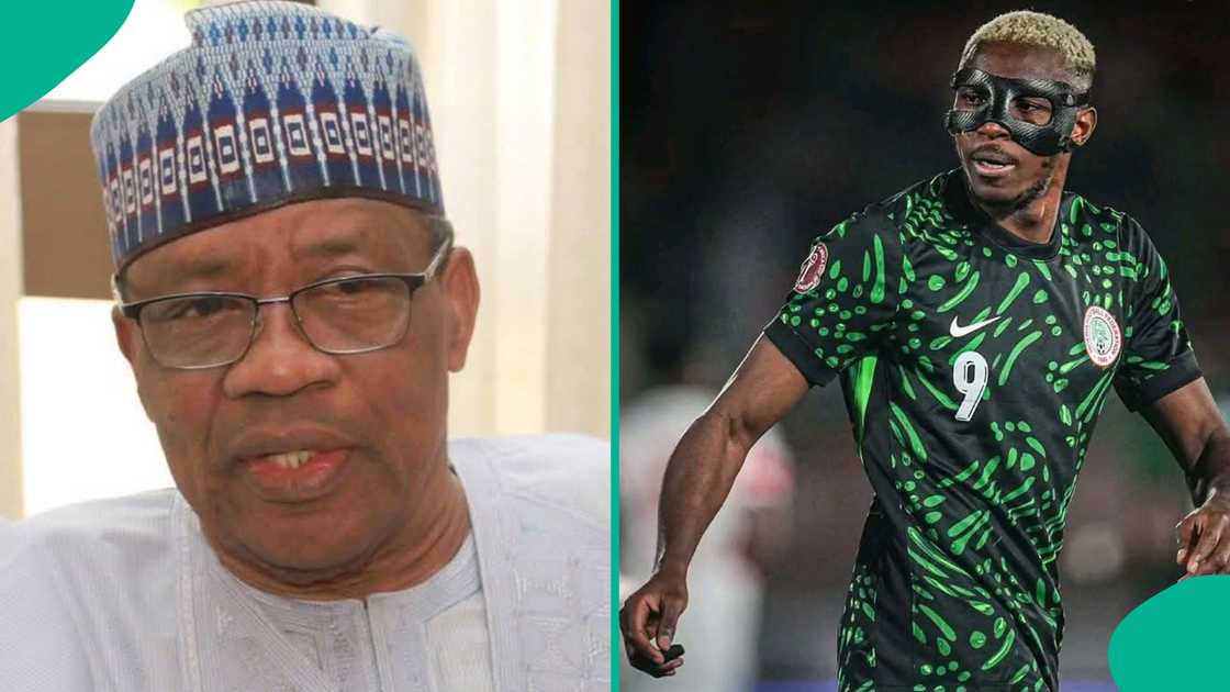 Lawmaker Akin Alabi said he still preferred the Green Eagles name over Super Eagles.