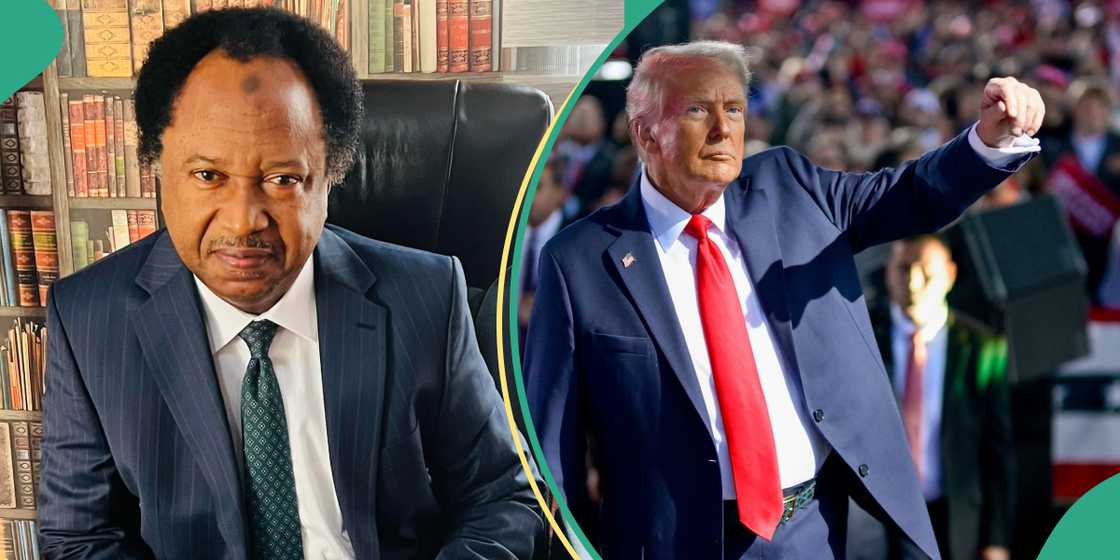 Shehu Sani says Trump's mass deportation is hypocritical and morally wrong