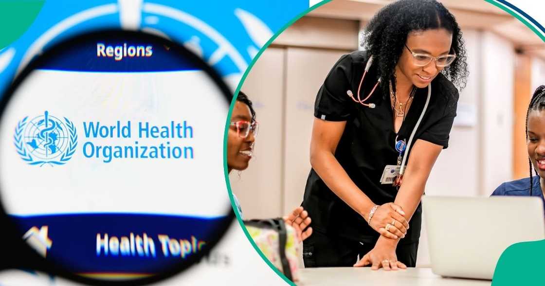 Nigerians can apply for WHO 2026 paid internship