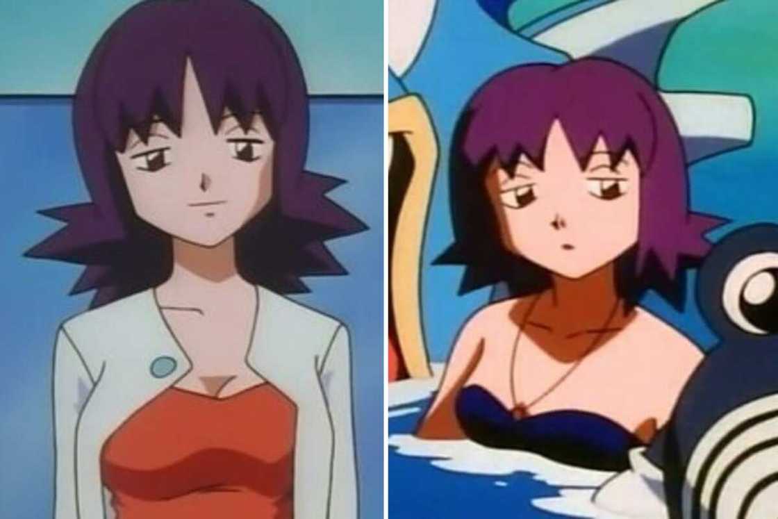 Professor Ivy from Pokémon Professor Ivy from Pokémon