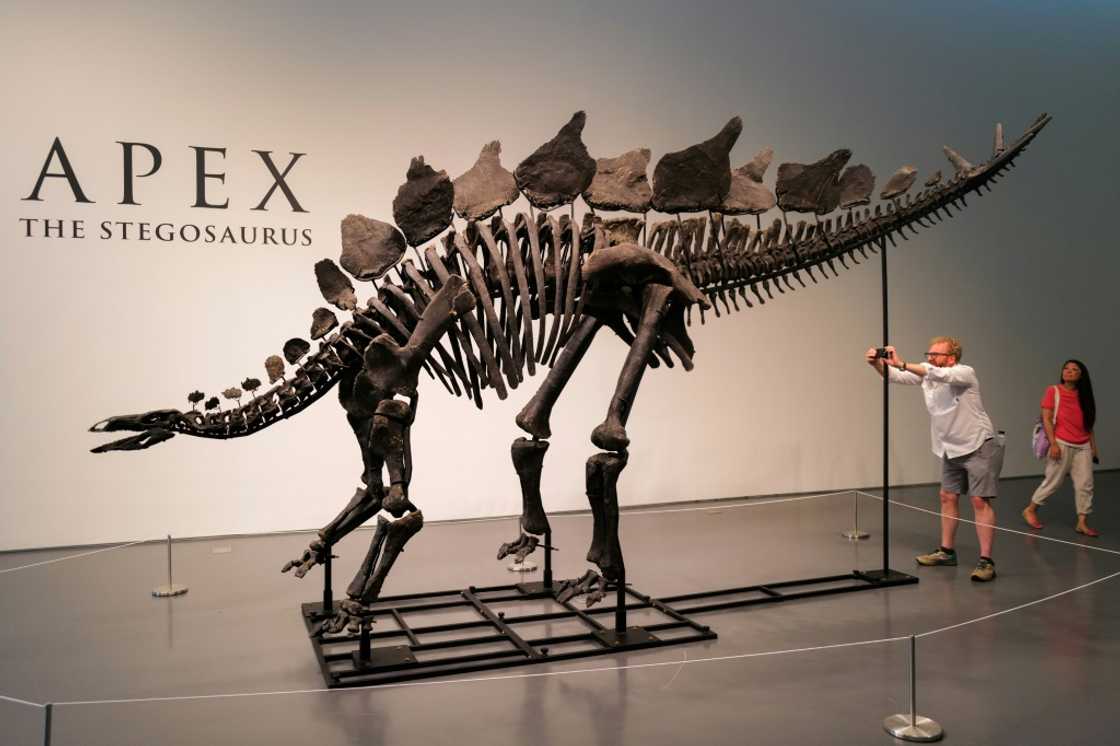 Paleontologists have criticized sales of dinosaur skeletons, saying these finds should be preserved in museums and not sold to private bidders