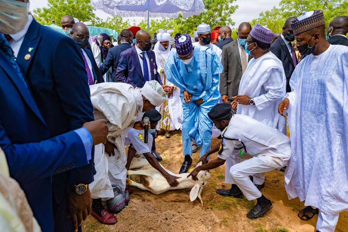Baba da Yusuf Baba da Yusuf