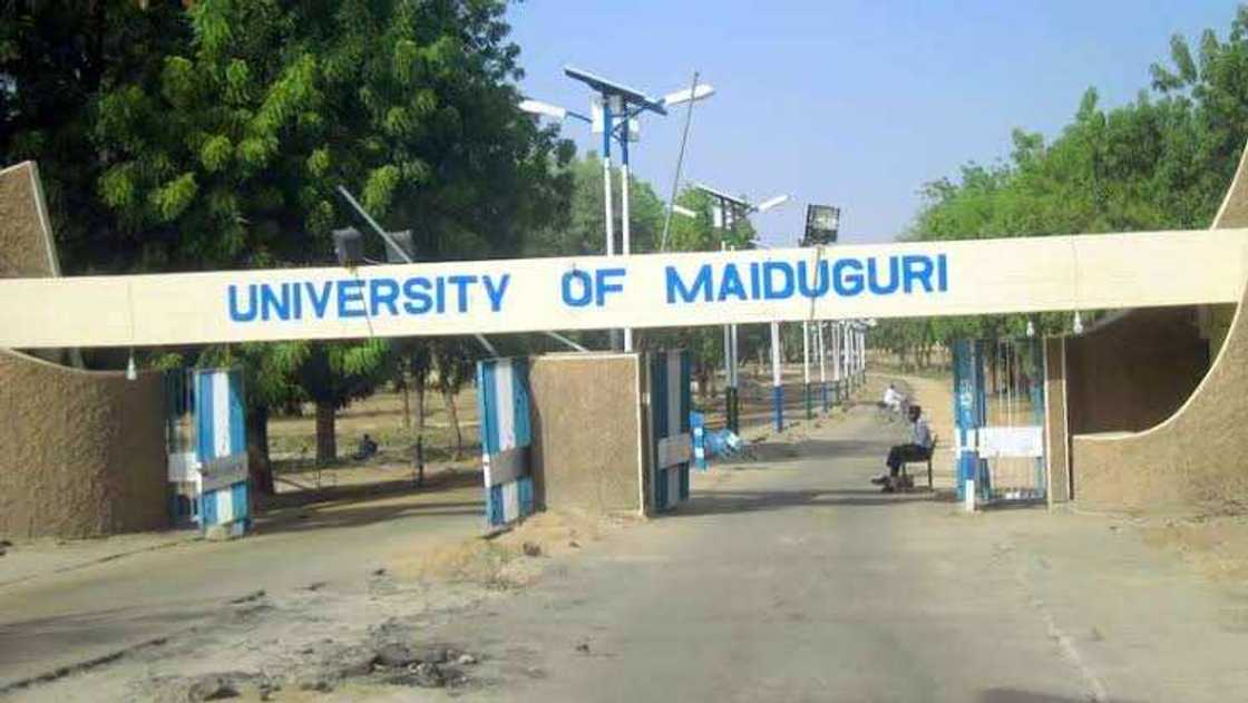 Unimaid