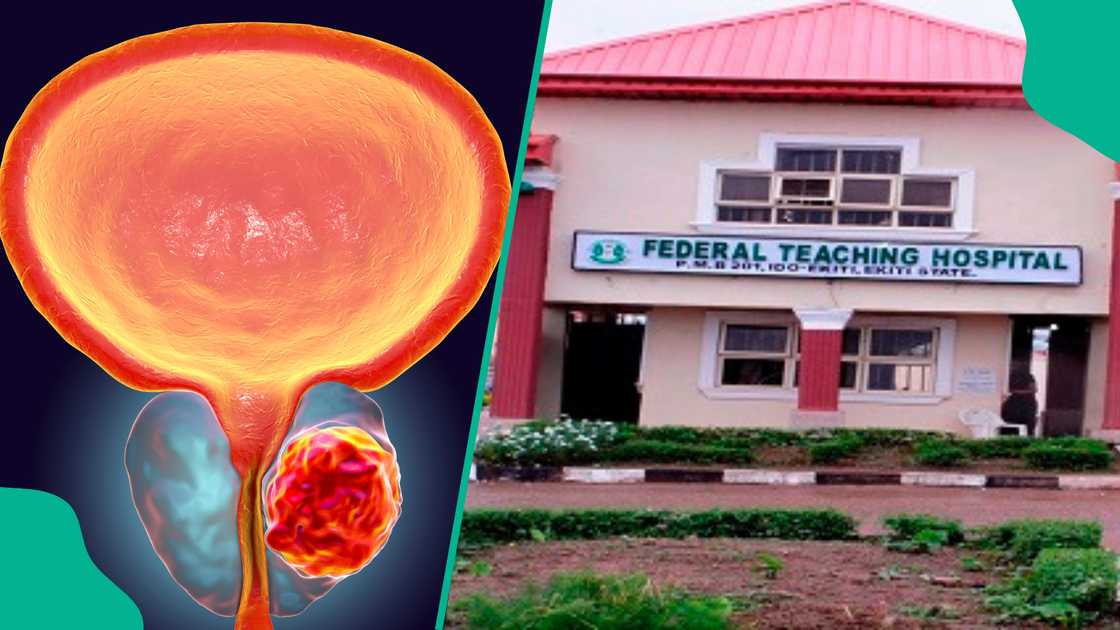 Likita ya yi magana kan yiwuwar rashin kamuwa da cutar mafitsara saboda yawan yin jima'i Likita ya yi magana kan yiwuwar rashin kamuwa da cutar mafitsara saboda yawan yin jima'i