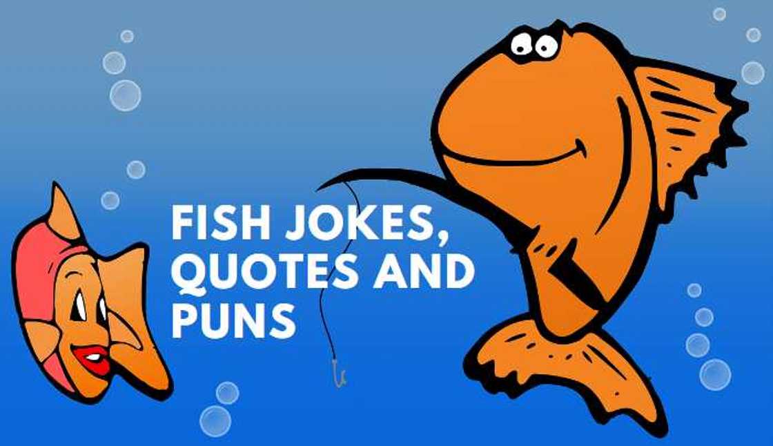 fish puns fish puns