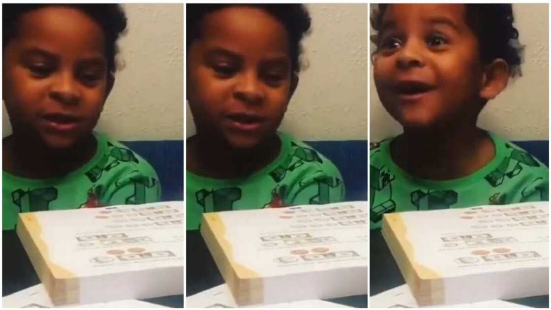 A collage showing the boy during the lesson.
Photo source: Twitter/@Frediculous A collage showing the boy during the lesson.
Photo source: Twitter/@Frediculous