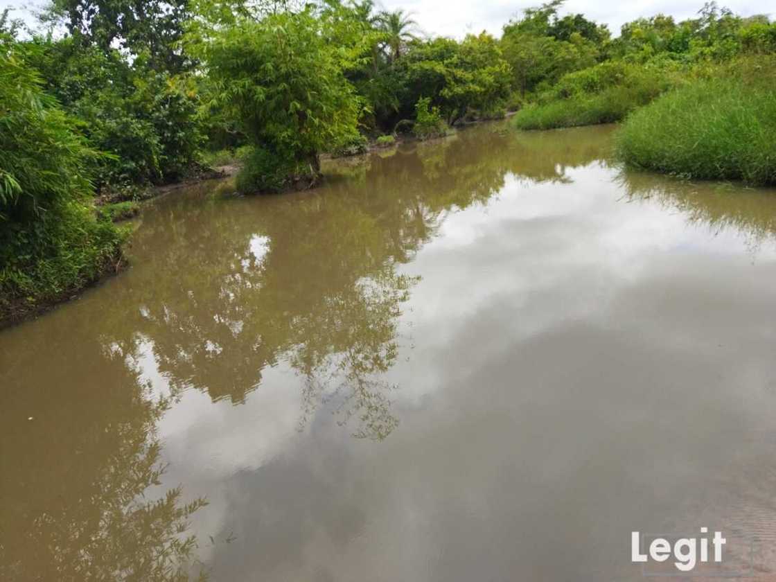 Ore Otiti festival in Okaka: the myths, facts and mysteries Ore Otiti festival in Okaka: the myths, facts and mysteries