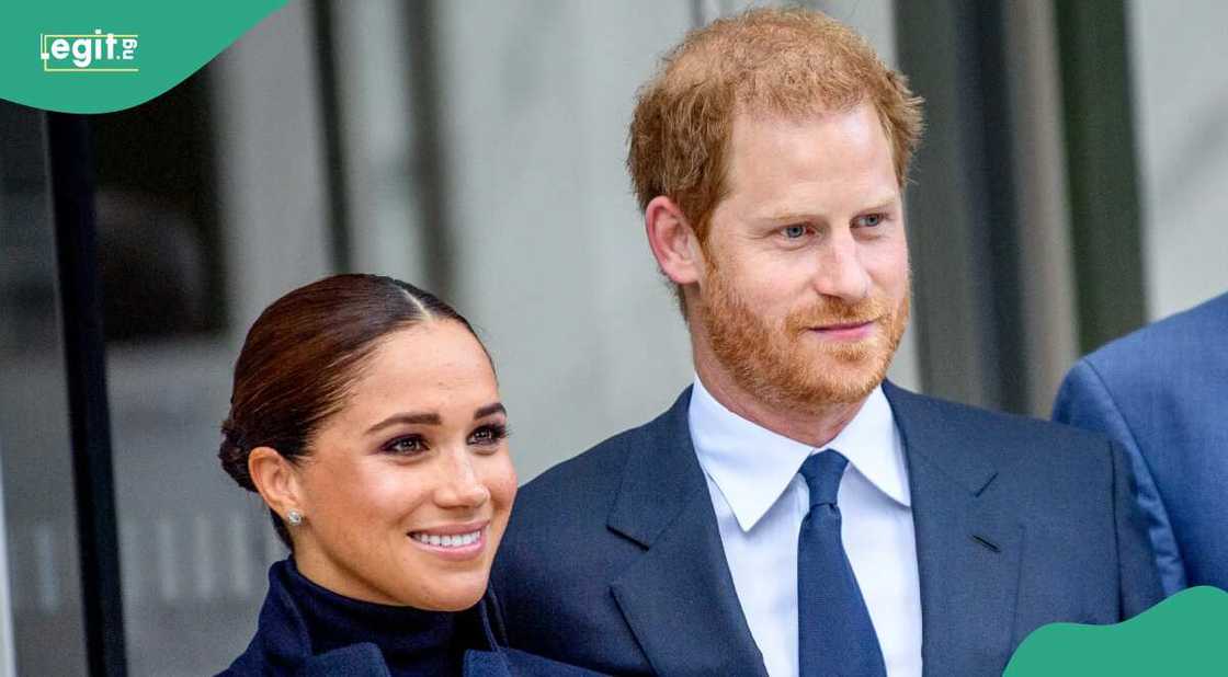 Yarima Harry Yarima Harry