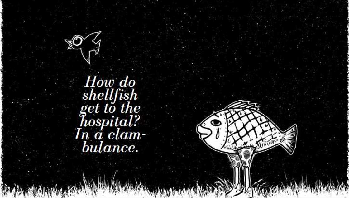 fishing jokes fishing jokes