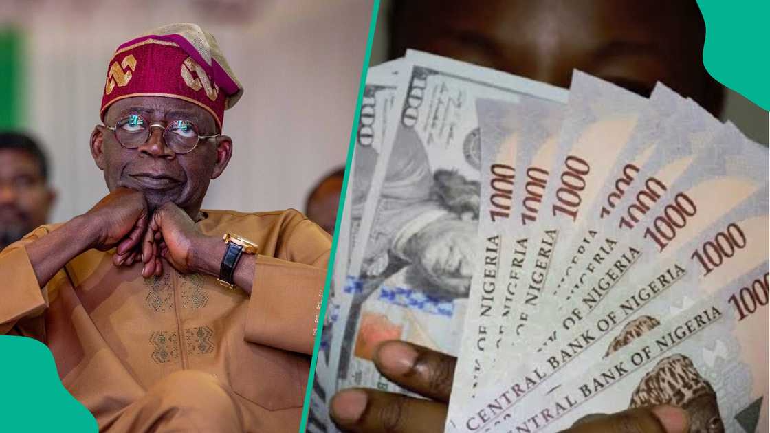 Nigeria’s presidency spends billions of naira on foreign travels Nigeria’s presidency spends billions of naira on foreign travels