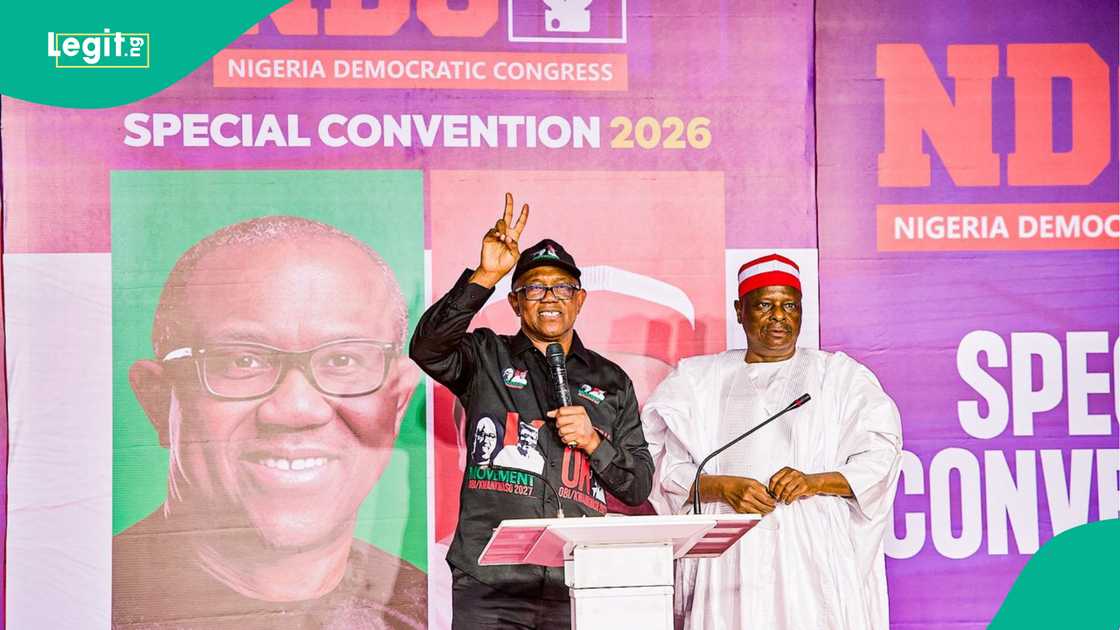 Former Labour Party chieftain Peter Obi has emerged as the Nigeria Democratic Congress (NDC) presidential flagbearer ahead of the 2027 elections and agrees to work with Rabiu Kwankwaso.