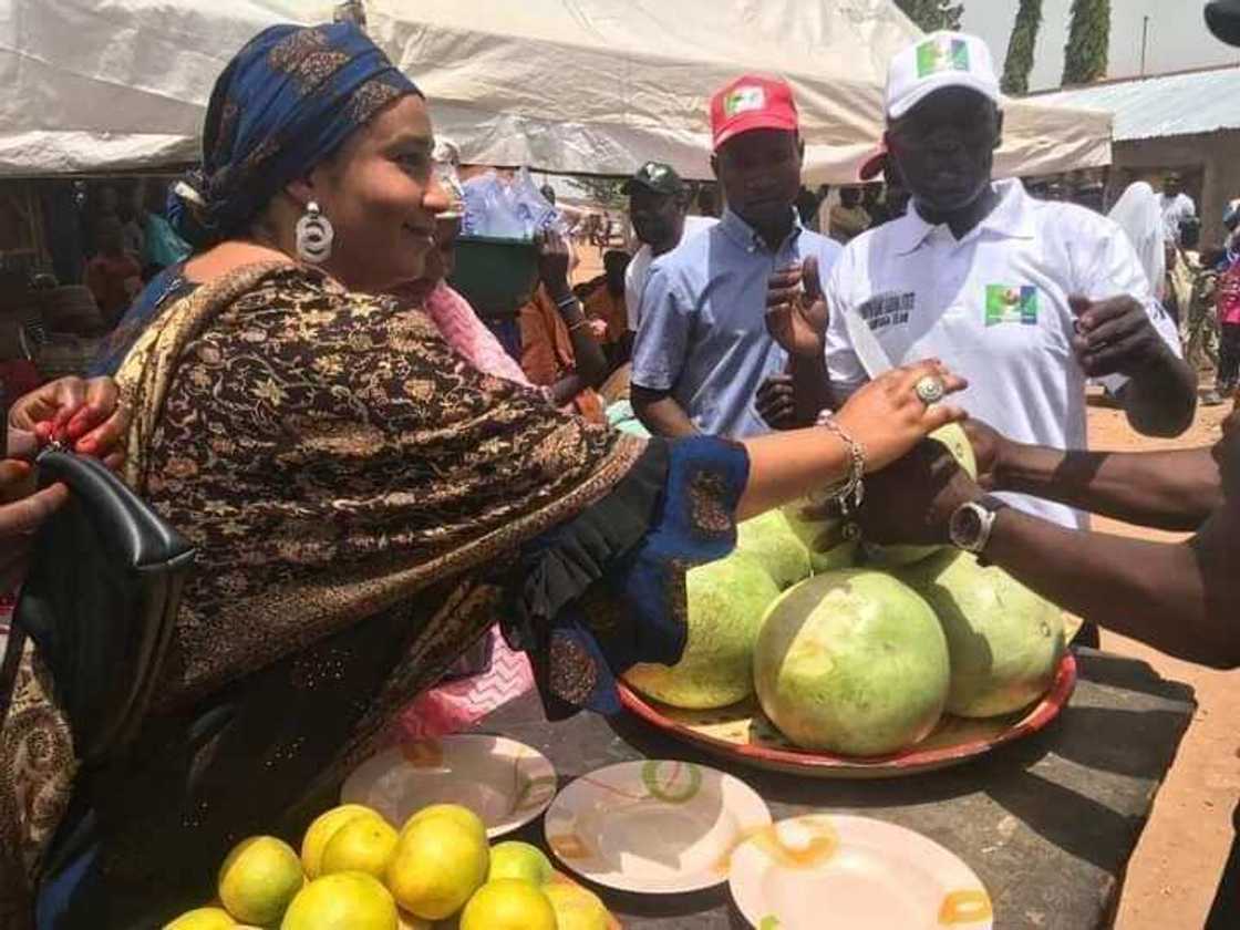 Mambobin NNPP da kayan Marmari. Mambobin NNPP da kayan Marmari.