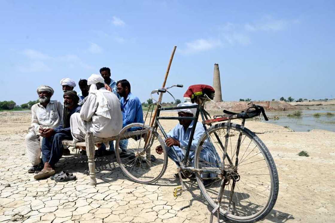 Brick workers from the Aqilpur kiln gather daily in the hope of getting work, but there is no end in sight for their misery Brick workers from the Aqilpur kiln gather daily in the hope of getting work, but there is no end in sight for their misery