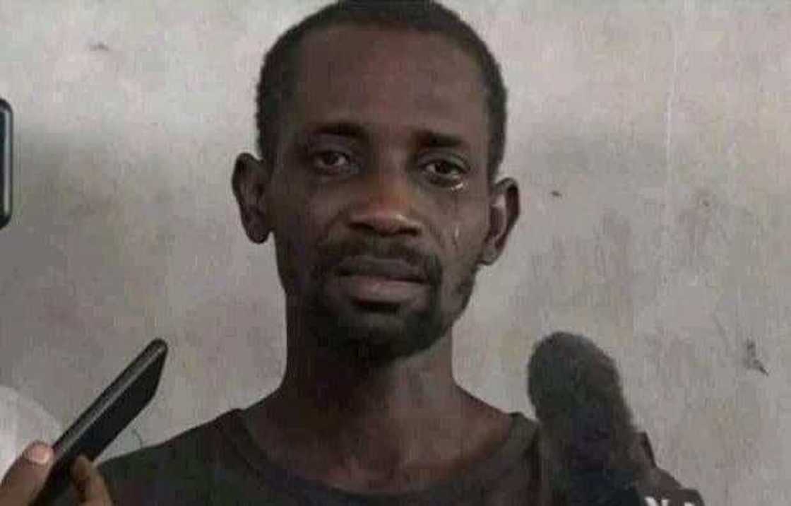 Abdulmalik Tanko. Abdulmalik Tanko.