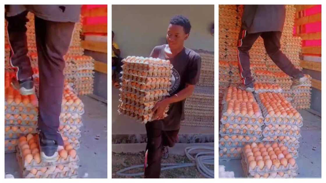 Man walks on eggs in Nigeria Man walks on eggs in Nigeria