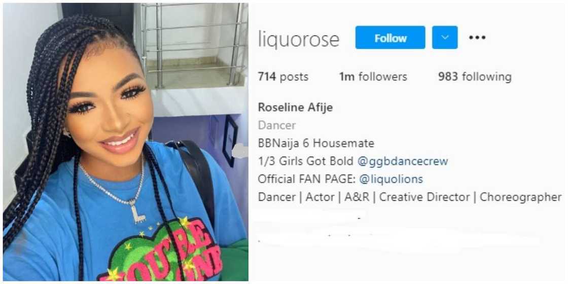 Photos of Liquorose. Photos of Liquorose.