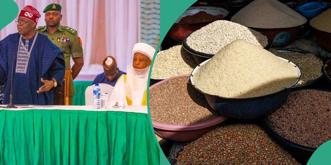 Bola Tinubu Bola Tinubu