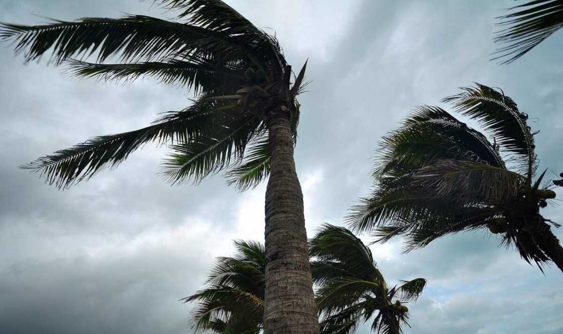 Iska ta ja rasuwar mutane 2 a Jigawa Iska ta ja rasuwar mutane 2 a Jigawa