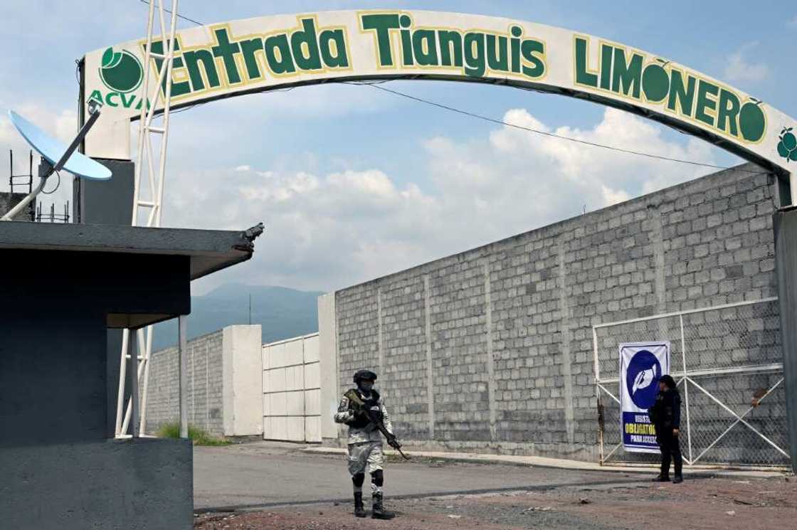 A member of Mexico's National Guard stands at the entrance of a lime market in Michoacan state A member of Mexico's National Guard stands at the entrance of a lime market in Michoacan state