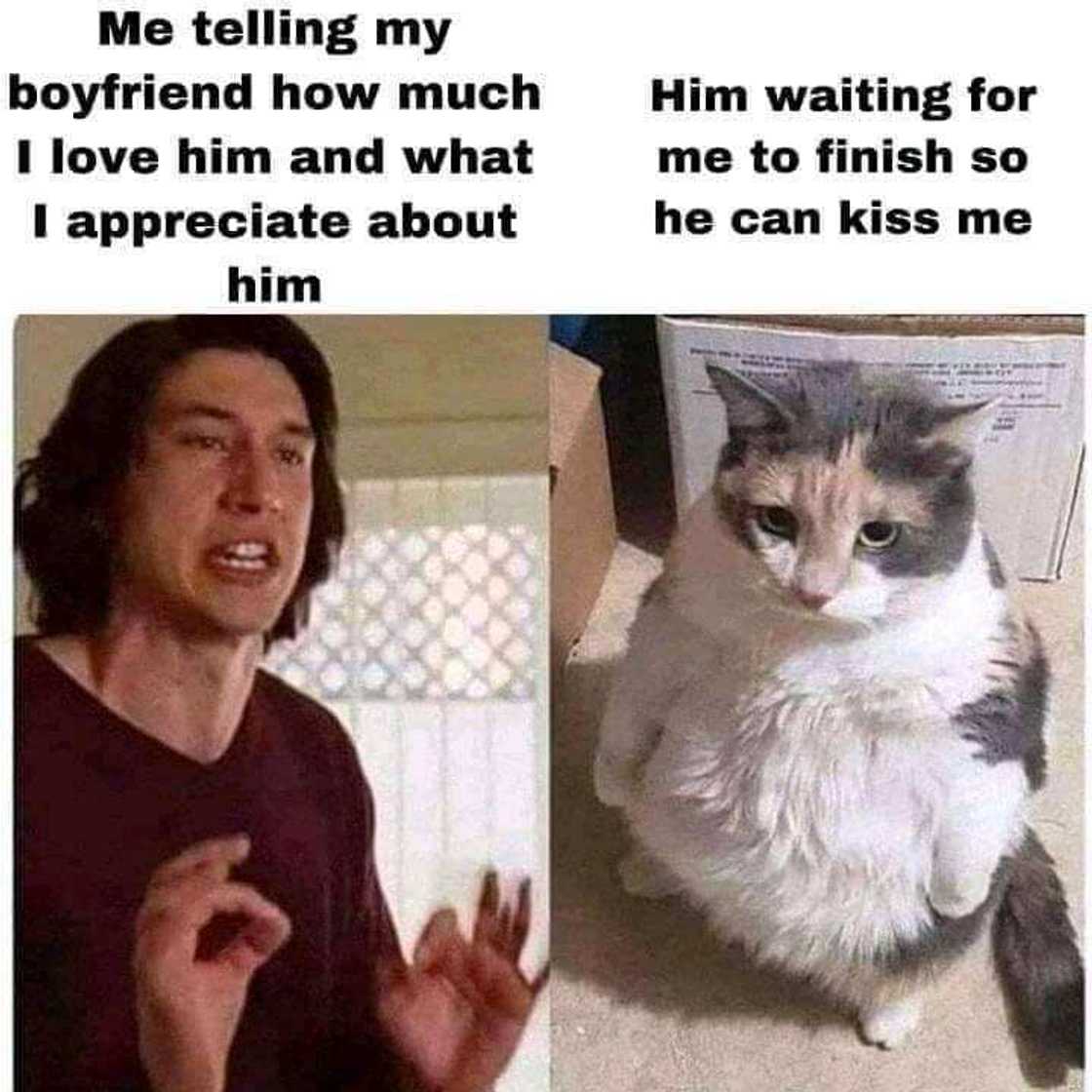 cute love memes cute love memes