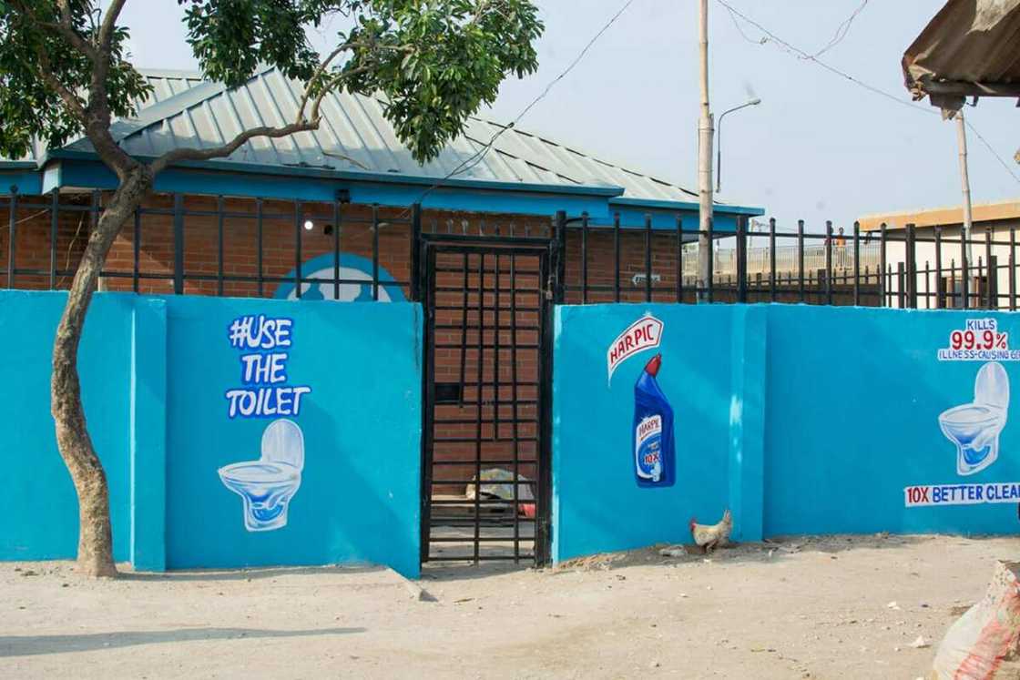 Harpic Collaborates with Federal Government, and Lagos State to Celebrate 2021 World Toilet Day