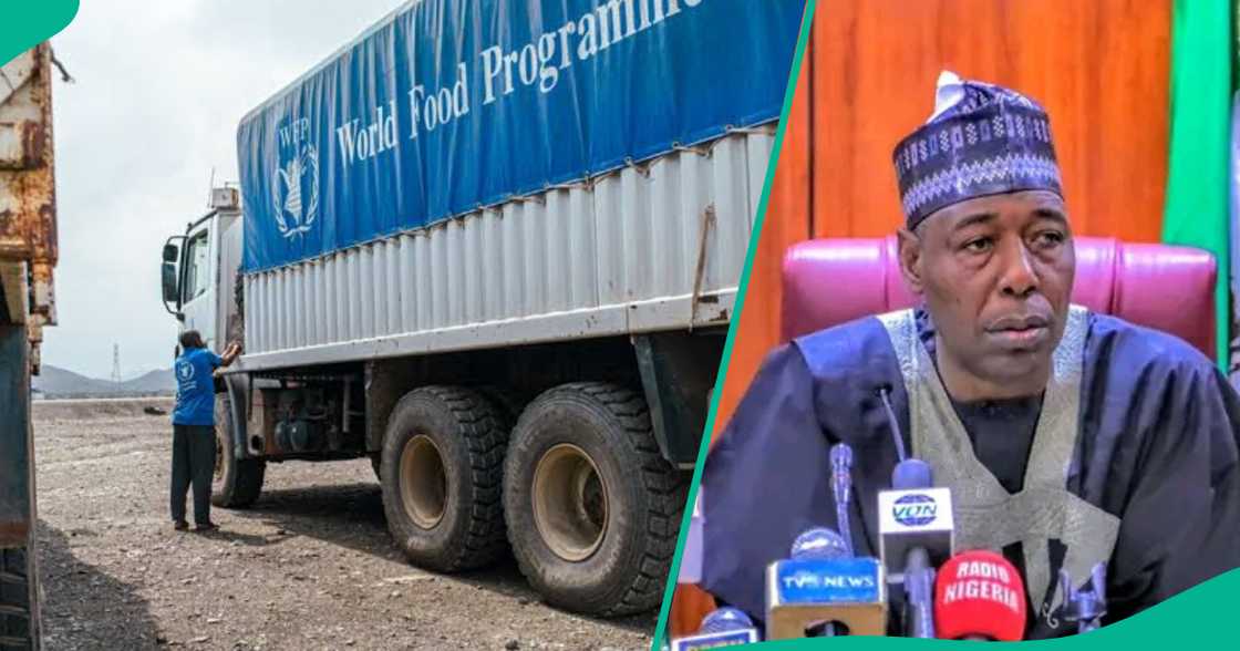 Mutane sun sace kayan abinci a korar hukumar WFP a Borno Mutane sun sace kayan abinci a korar hukumar WFP a Borno