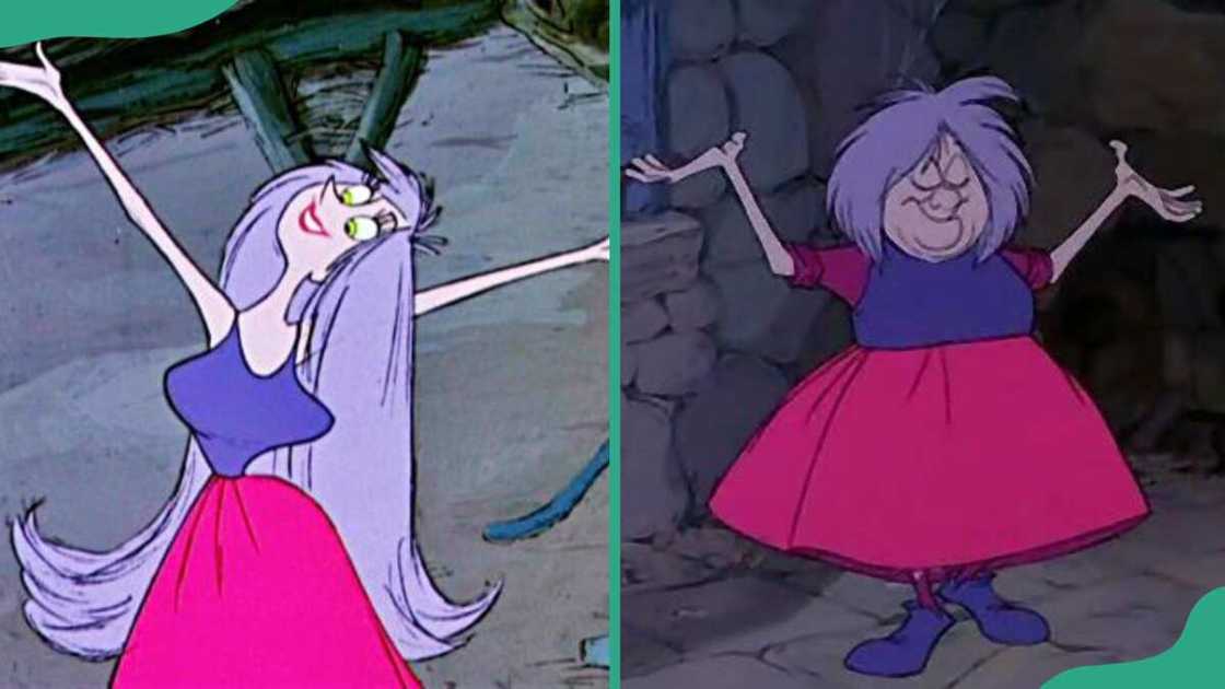 Mad Madam Mim from The Sword in the Stone Mad Madam Mim from The Sword in the Stone