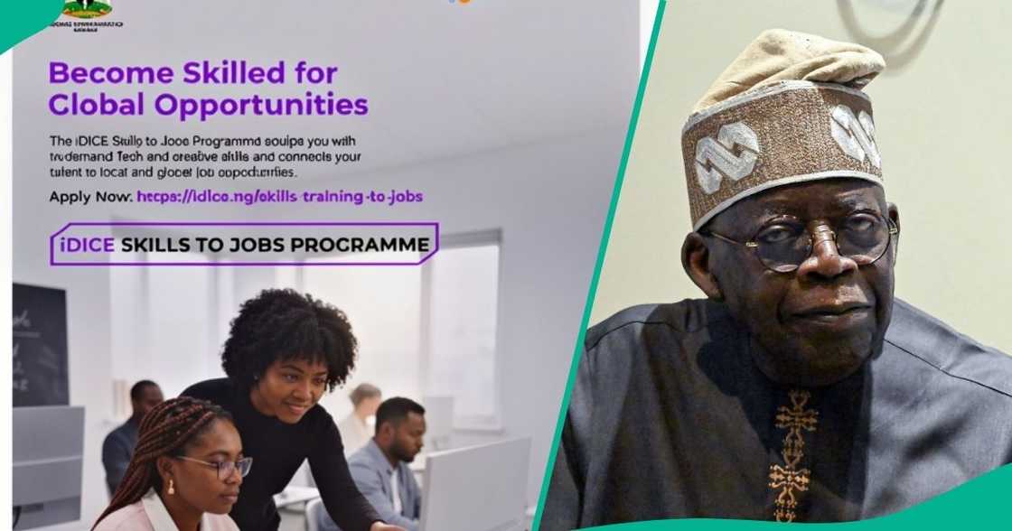 FG opens applications for 30,000 jobs and skills training nationwide FG opens applications for 30,000 jobs and skills training nationwide