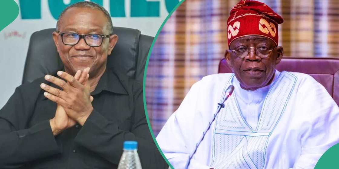 Bola Tinubu, Peter Obi, Supreme Court, Chicago State University