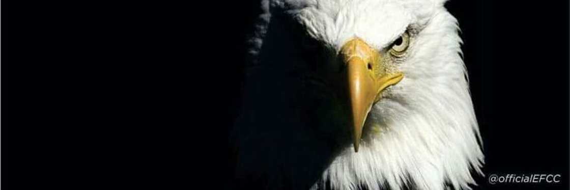 Jerin wadanda suka rike mukamin shugaban hukumar EFCC a tarihin Najeriya Jerin wadanda suka rike mukamin shugaban hukumar EFCC a tarihin Najeriya