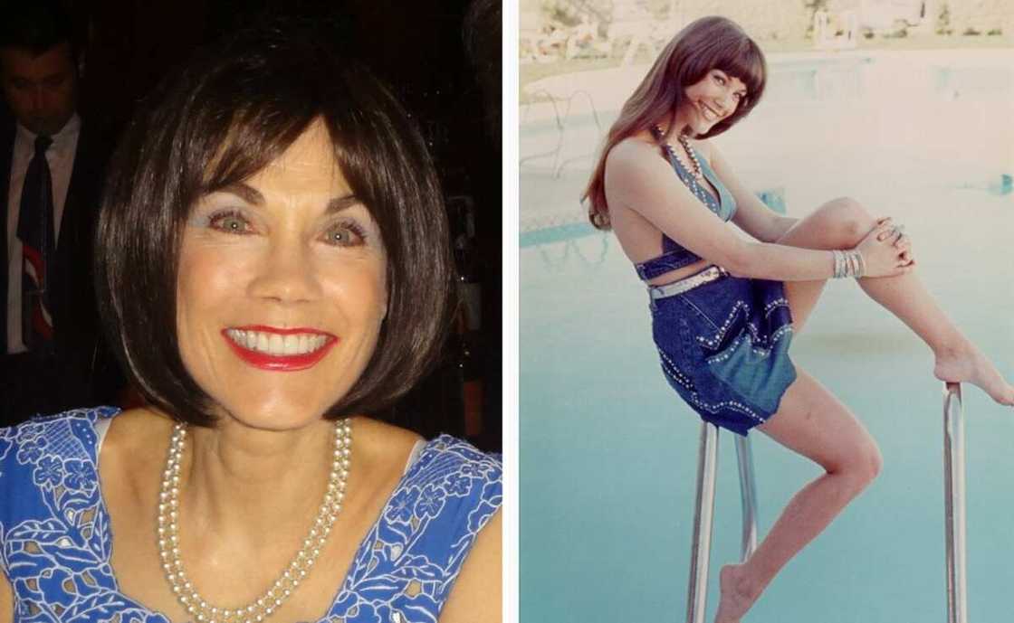 Barbi Benton then and now: see recent photos of the model Barbi Benton then and now: see recent photos of the model