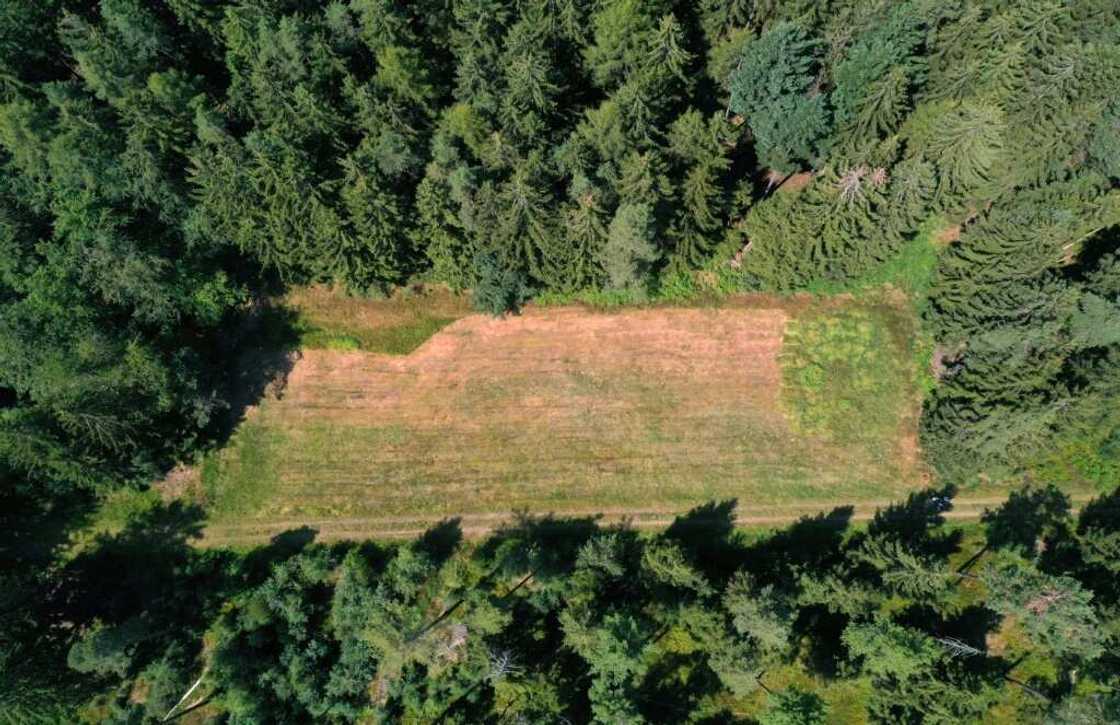 Schnabelwaid's roughly 900 residents approved the new project to install about 10 turbines in the neighbouring Kitschenrain forest by a whisker at the end of a public consultation in April Schnabelwaid's roughly 900 residents approved the new project to install about 10 turbines in the neighbouring Kitschenrain forest by a whisker at the end of a public consultation in April