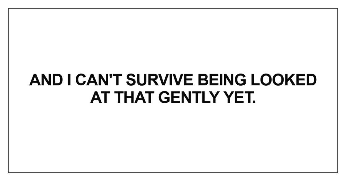 And I can't survive being looked at that gently yet