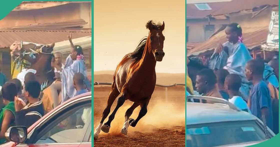 Girl controls horse at Ojude Oba.