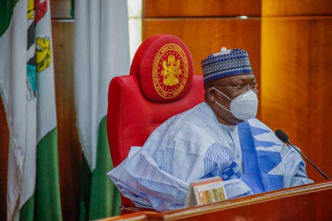 This is why Buhari must reverse sacking of Argungu as DG of NDE, Senate reveals This is why Buhari must reverse sacking of Argungu as DG of NDE, Senate reveals