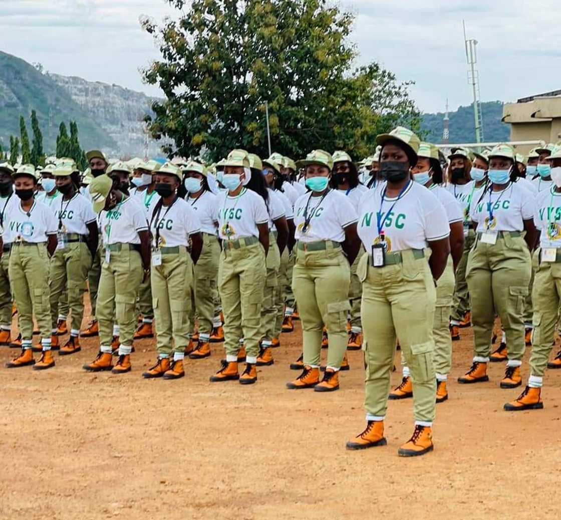 Millions of graduates are unemployed because they are unskilled, FG reveals Millions of graduates are unemployed because they are unskilled, FG reveals